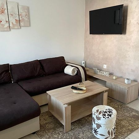 Apartmani Marija Zemun Zemun Polje المظهر الخارجي الصورة
