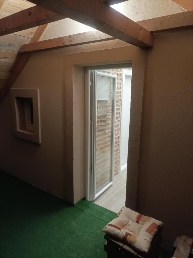Apartmani Marija Zemun Zemun Polje المظهر الخارجي الصورة