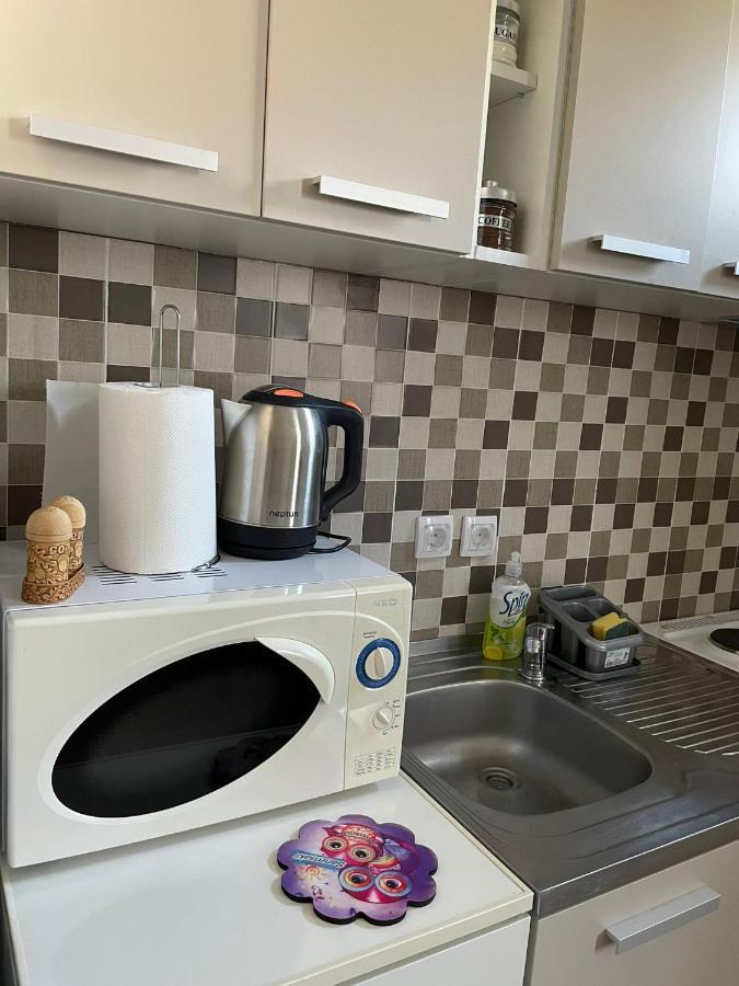 Apartmani Marija Zemun Zemun Polje المظهر الخارجي الصورة