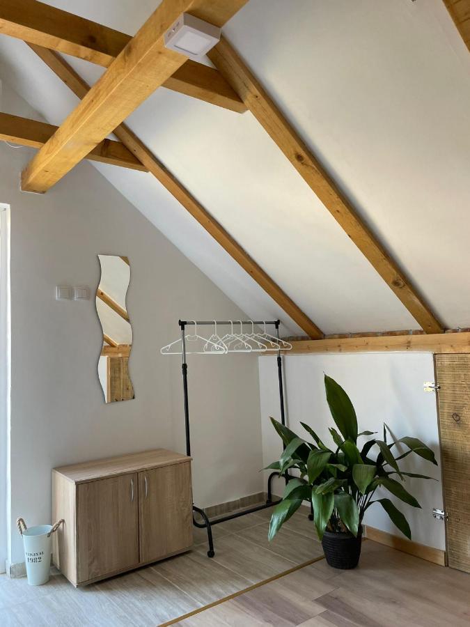 Apartmani Marija Zemun Zemun Polje المظهر الخارجي الصورة