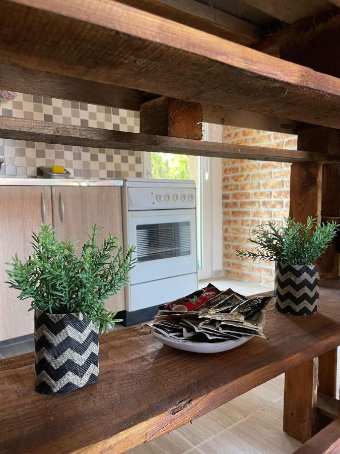 Apartmani Marija Zemun Zemun Polje المظهر الخارجي الصورة