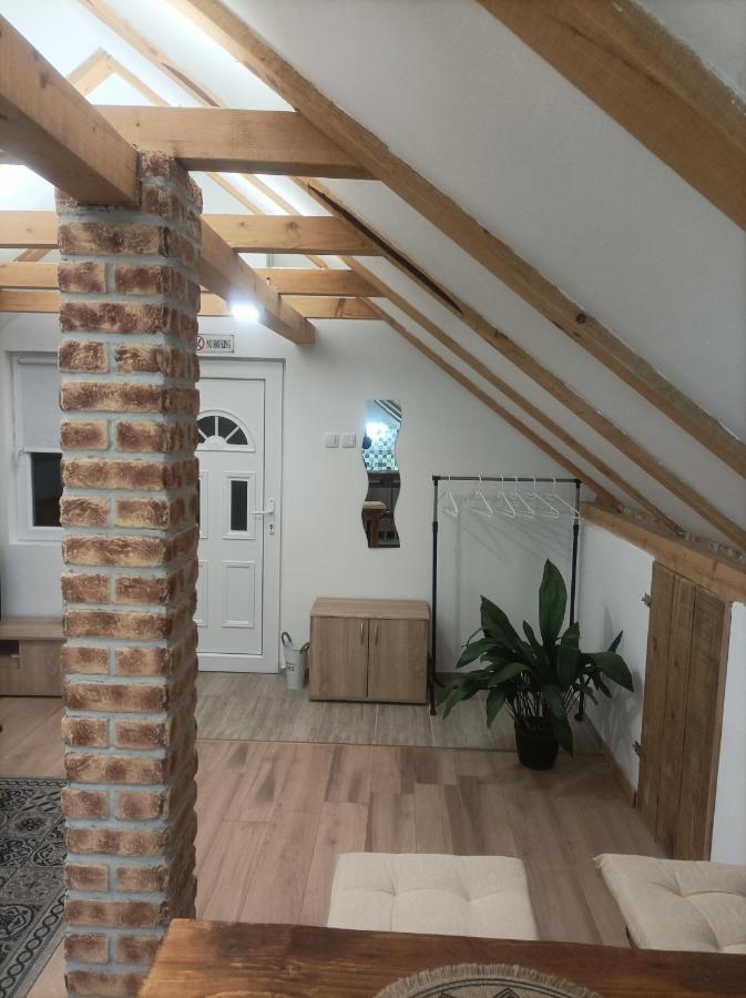 Apartmani Marija Zemun Zemun Polje المظهر الخارجي الصورة