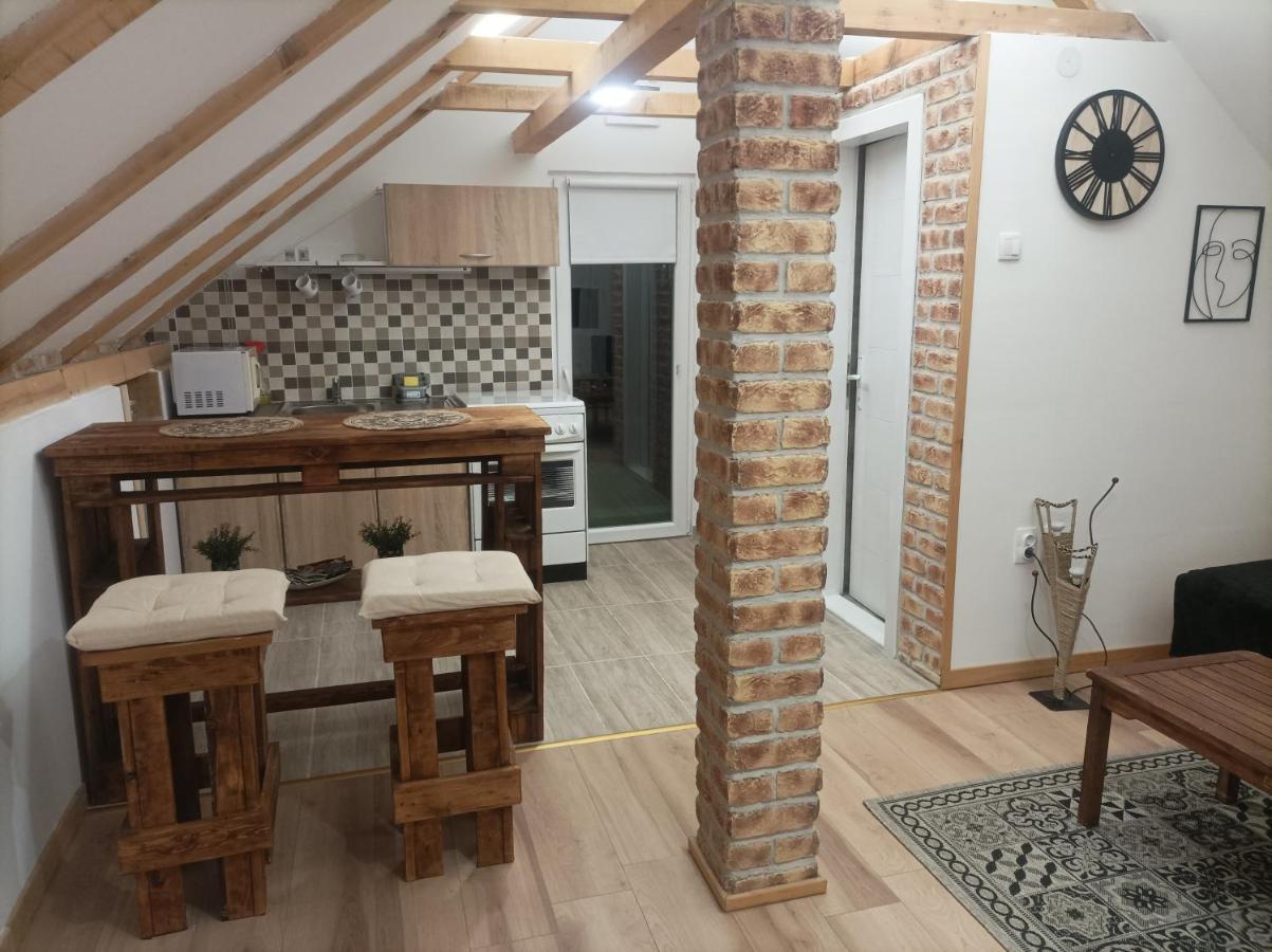 Apartmani Marija Zemun Zemun Polje المظهر الخارجي الصورة