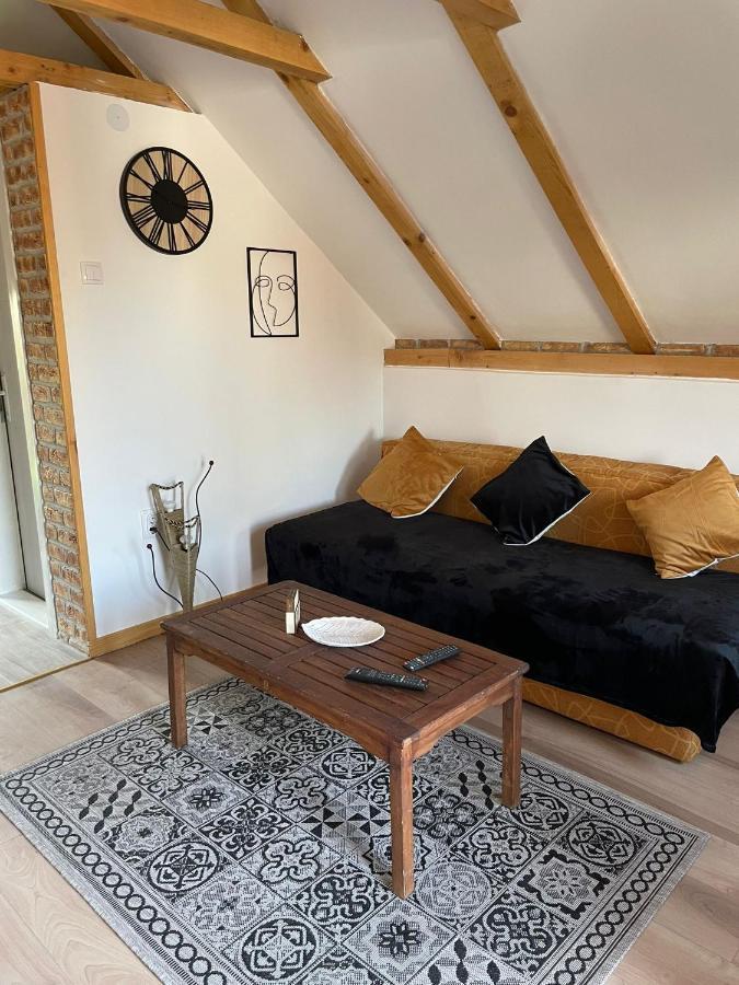 Apartmani Marija Zemun Zemun Polje المظهر الخارجي الصورة
