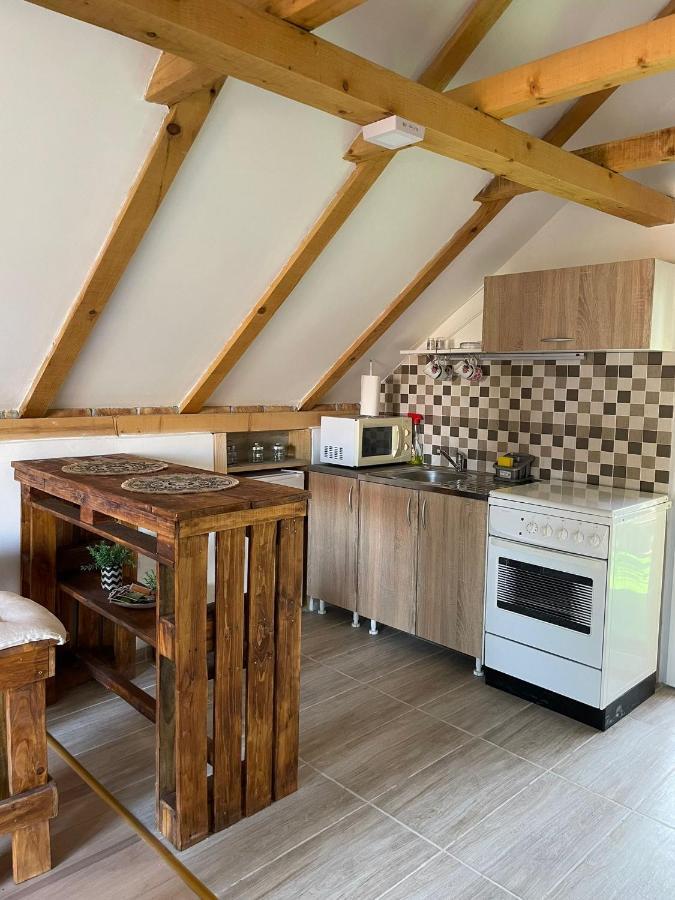 Apartmani Marija Zemun Zemun Polje المظهر الخارجي الصورة