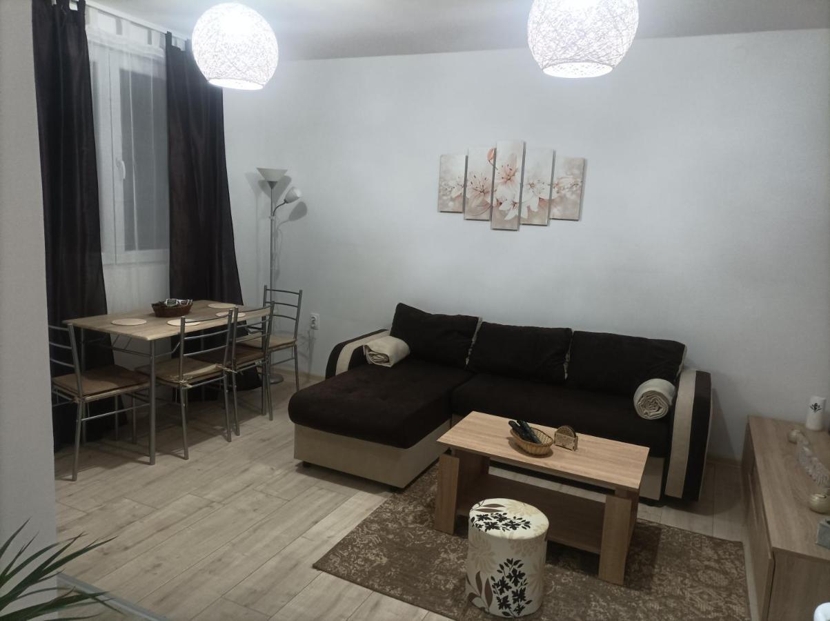 Apartmani Marija Zemun Zemun Polje المظهر الخارجي الصورة