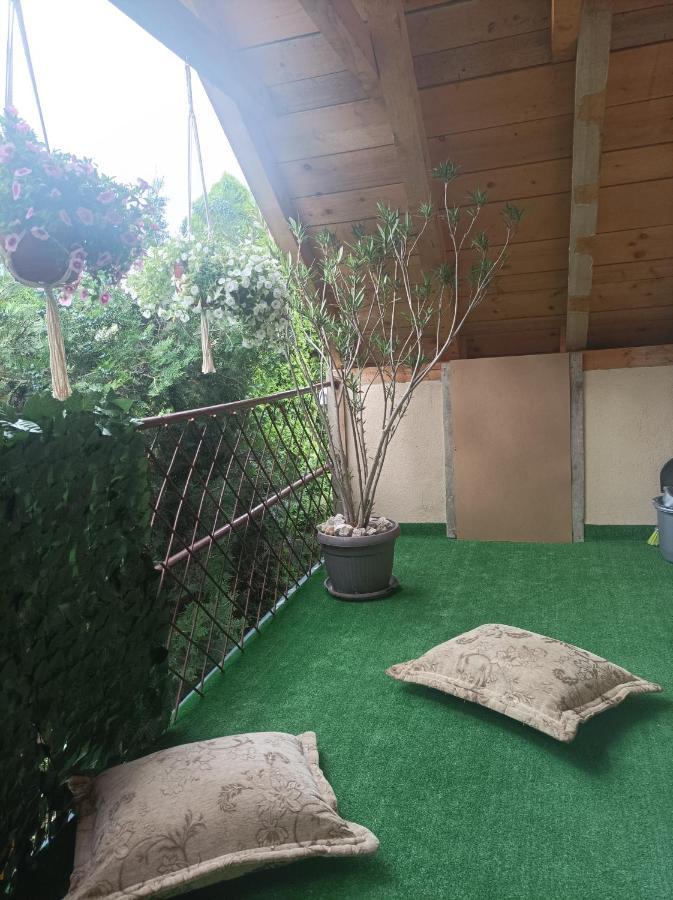 Apartmani Marija Zemun Zemun Polje المظهر الخارجي الصورة