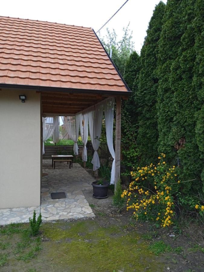 Apartmani Marija Zemun Zemun Polje المظهر الخارجي الصورة