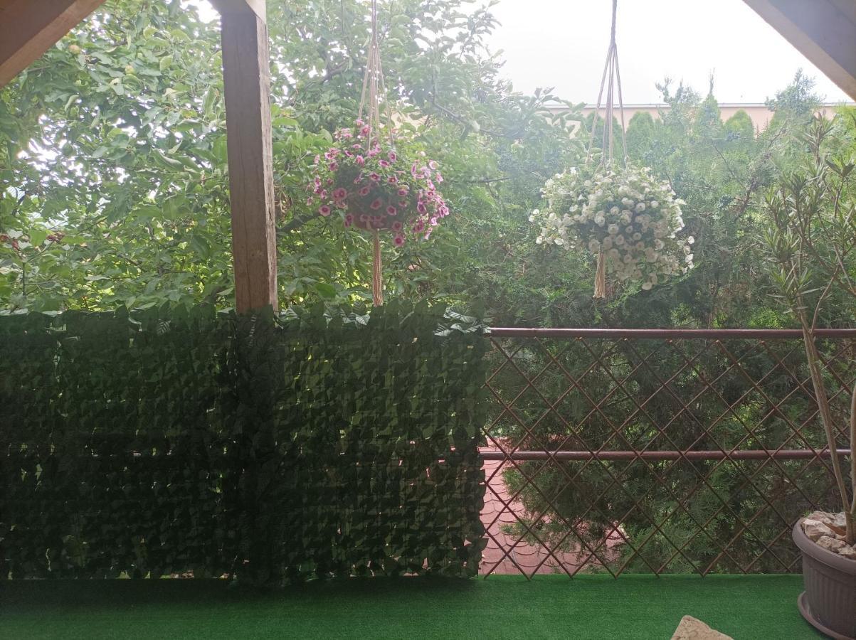 Apartmani Marija Zemun Zemun Polje المظهر الخارجي الصورة